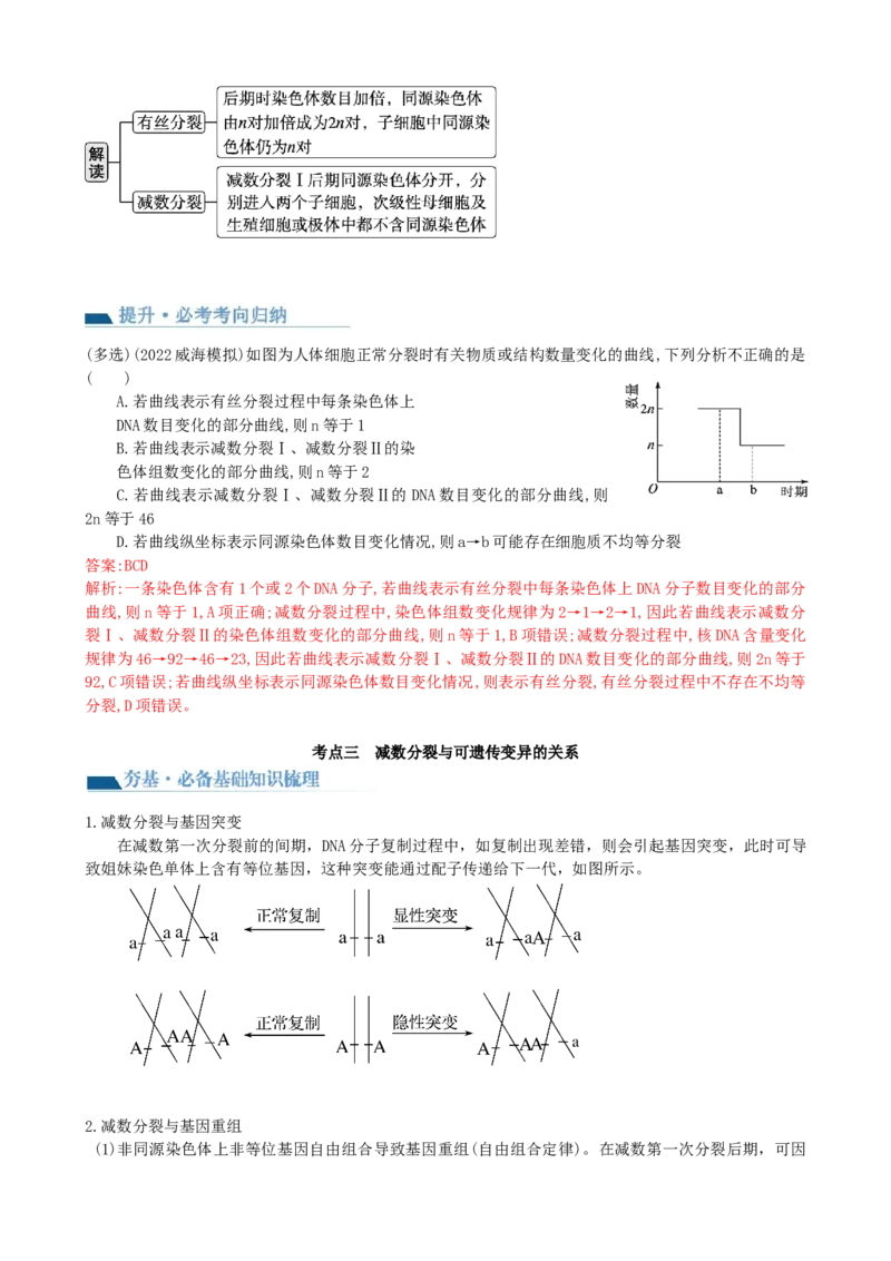 第13讲减数分裂和受精作用（讲义）（教师版）_2024年新高考资料_1.2024一轮复习_2024年高考生物一轮复习讲练测（新教材新高考）