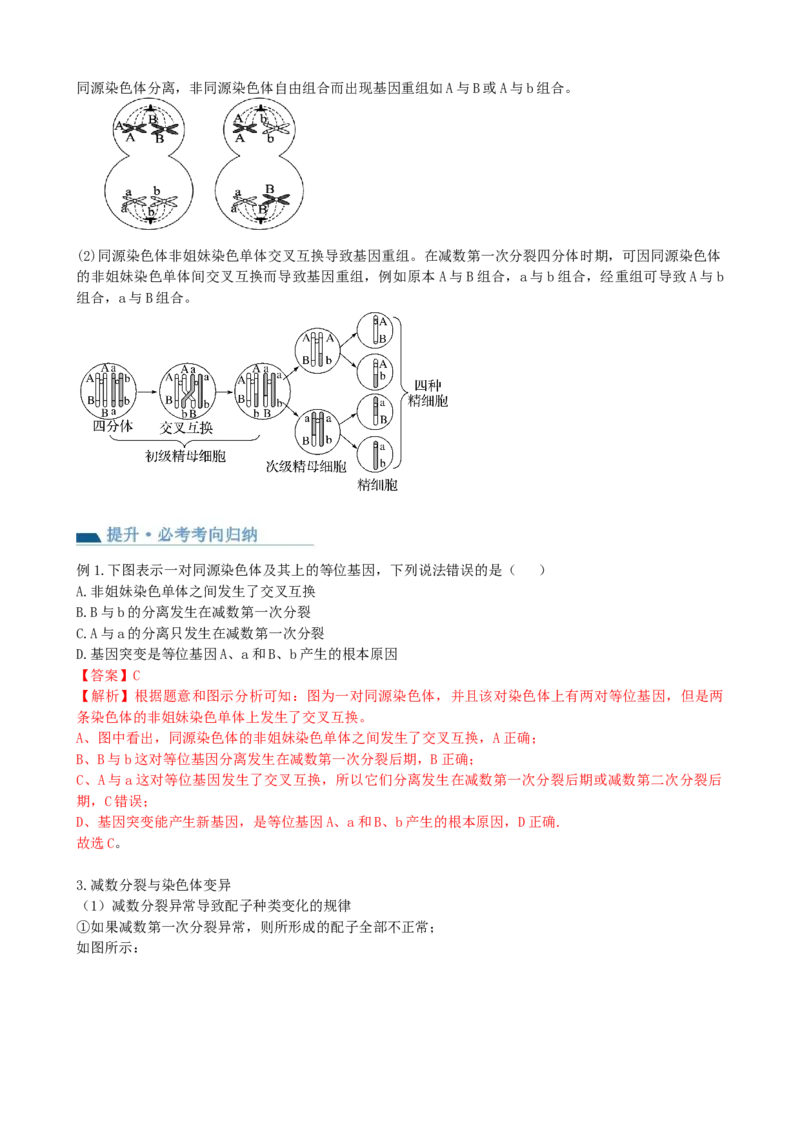 第13讲减数分裂和受精作用（讲义）（教师版）_2024年新高考资料_1.2024一轮复习_2024年高考生物一轮复习讲练测（新教材新高考）