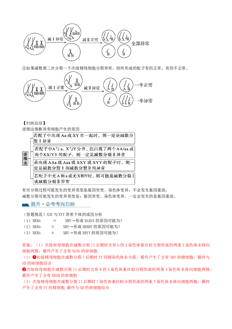 第13讲减数分裂和受精作用（讲义）（教师版）_2024年新高考资料_1.2024一轮复习_2024年高考生物一轮复习讲练测（新教材新高考）