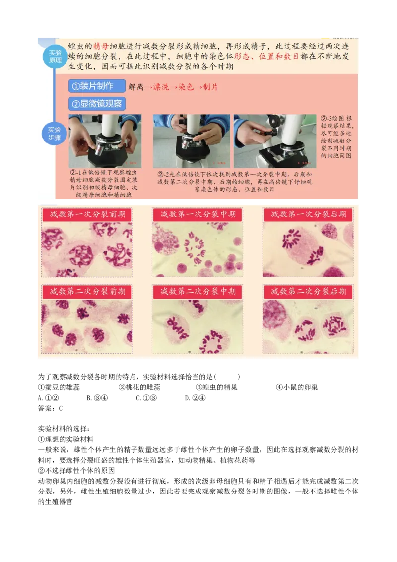 第13讲减数分裂和受精作用（讲义）（教师版）_2024年新高考资料_1.2024一轮复习_2024年高考生物一轮复习讲练测（新教材新高考）