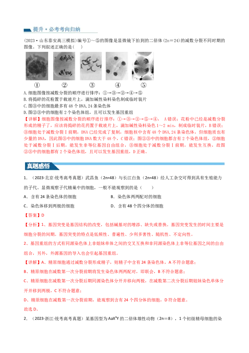 第13讲减数分裂和受精作用（讲义）（教师版）_2024年新高考资料_1.2024一轮复习_2024年高考生物一轮复习讲练测（新教材新高考）
