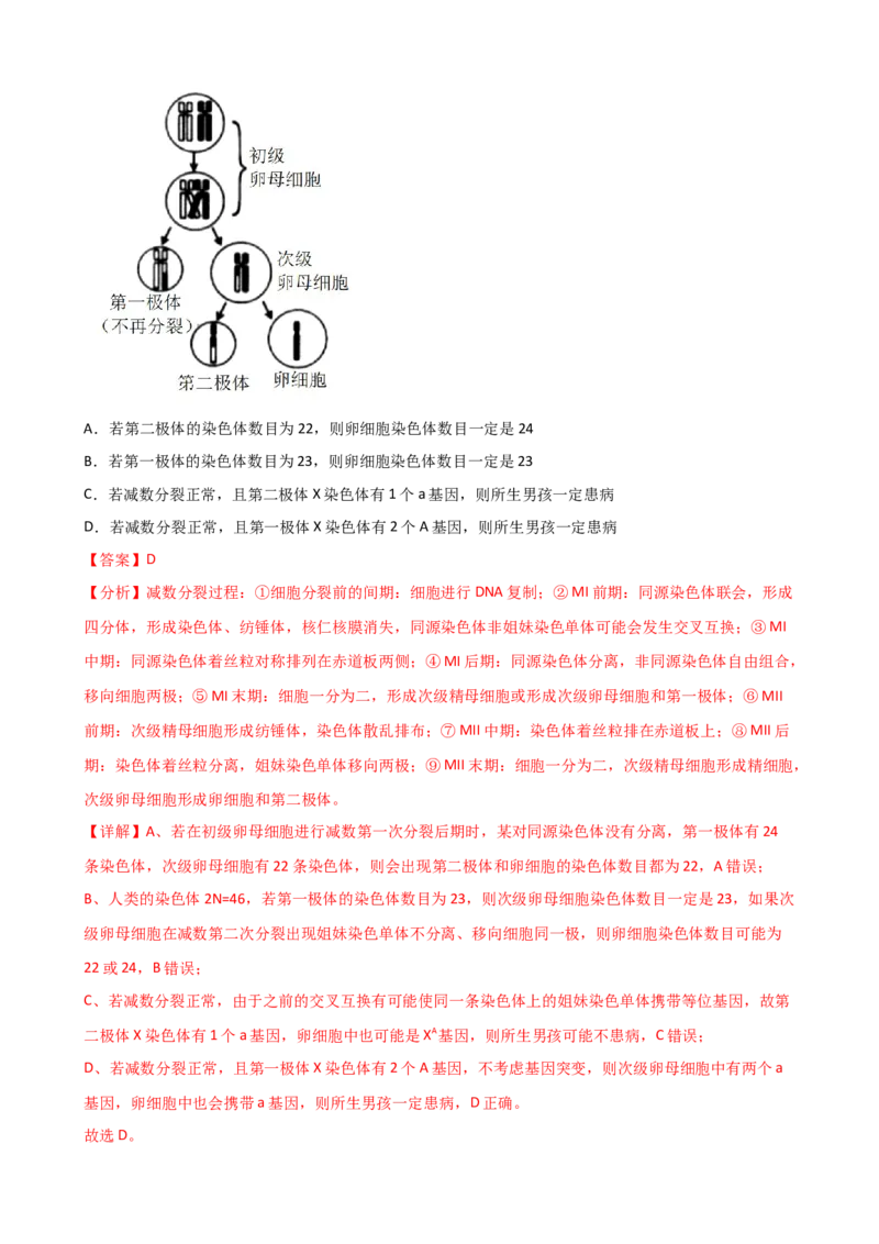 第13讲减数分裂和受精作用（讲义）（教师版）_2024年新高考资料_1.2024一轮复习_2024年高考生物一轮复习讲练测（新教材新高考）