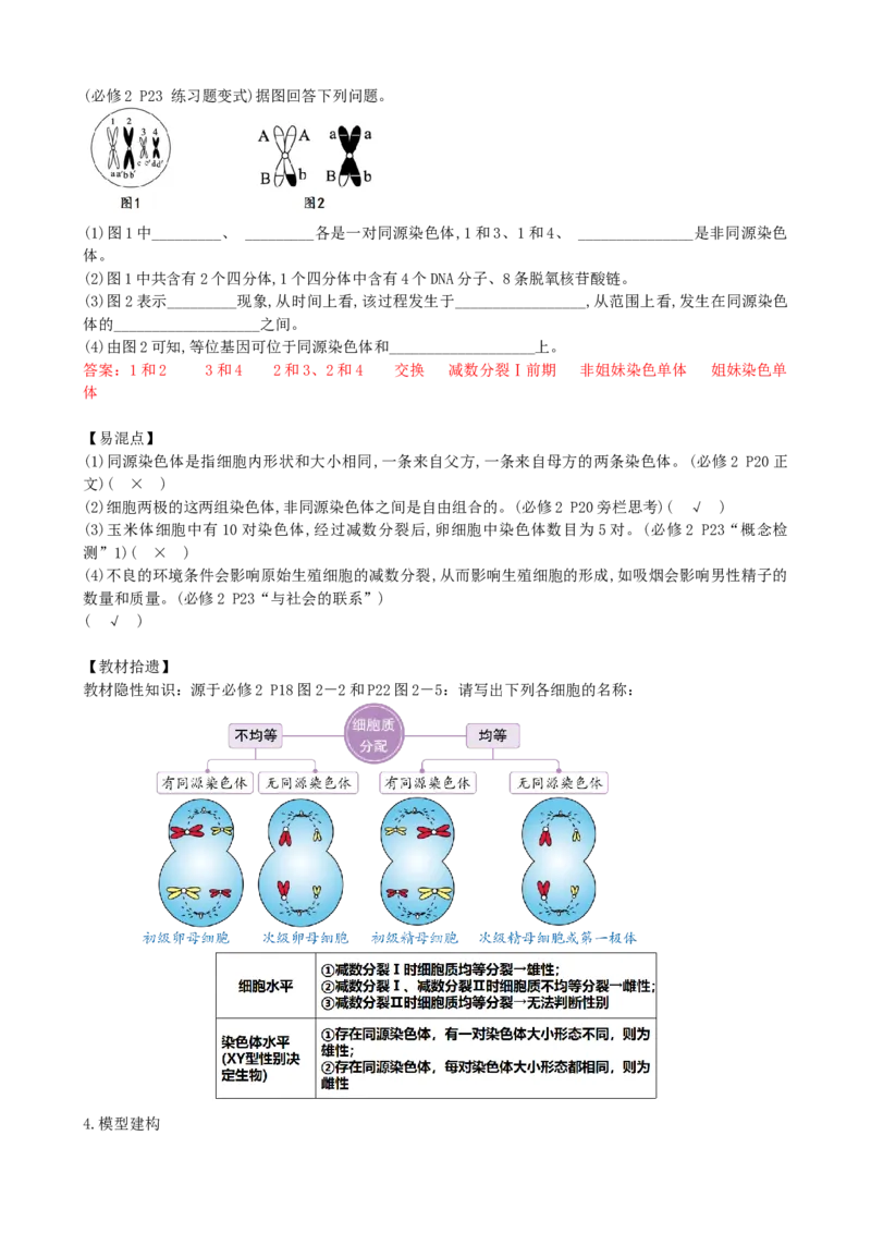 第13讲减数分裂和受精作用（讲义）（教师版）_2024年新高考资料_1.2024一轮复习_2024年高考生物一轮复习讲练测（新教材新高考）