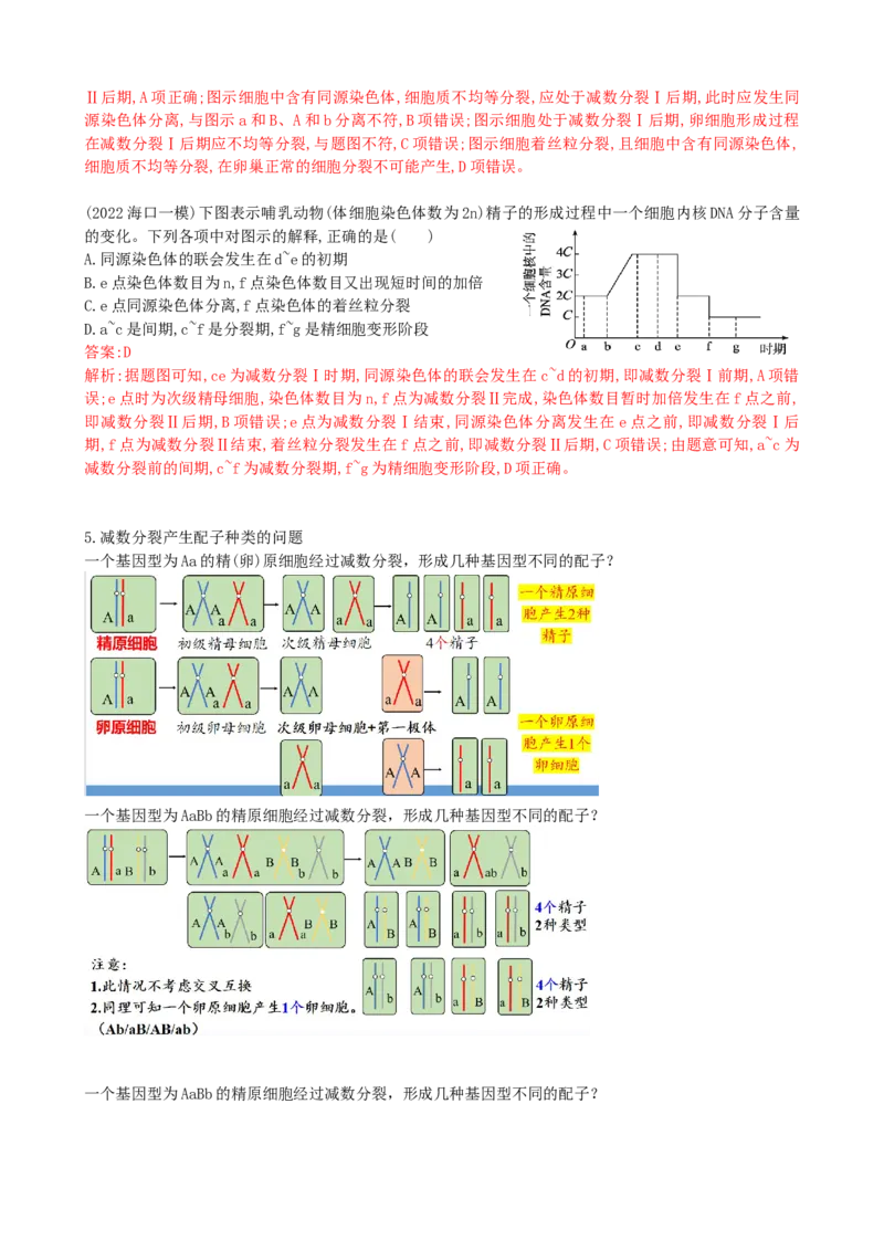第13讲减数分裂和受精作用（讲义）（教师版）_2024年新高考资料_1.2024一轮复习_2024年高考生物一轮复习讲练测（新教材新高考）