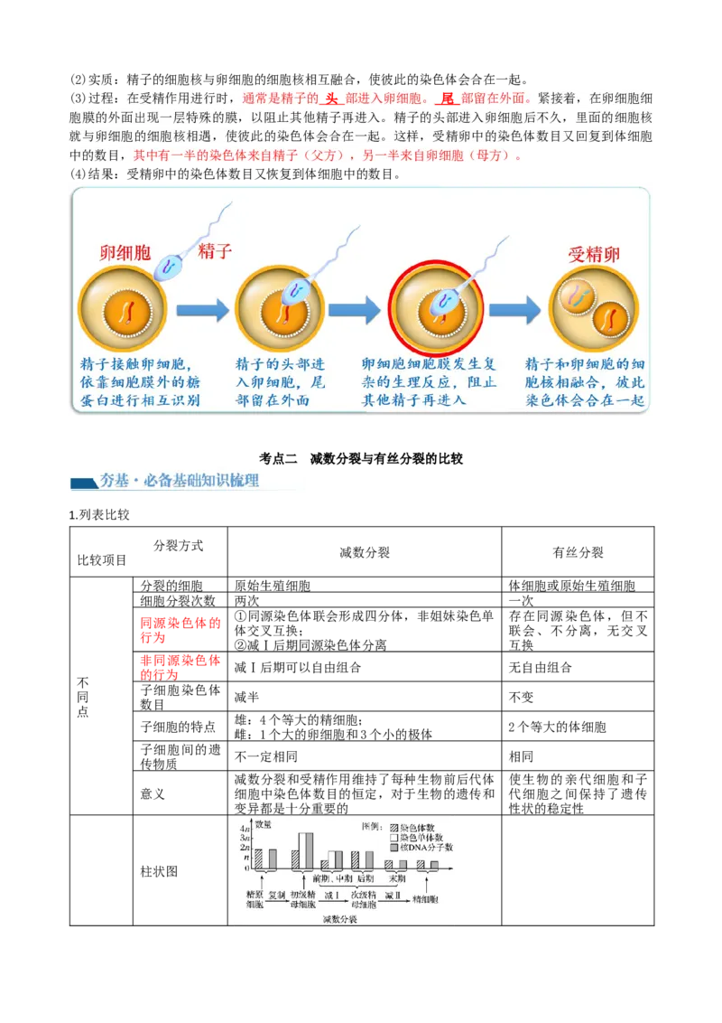 第13讲减数分裂和受精作用（讲义）（教师版）_2024年新高考资料_1.2024一轮复习_2024年高考生物一轮复习讲练测（新教材新高考）