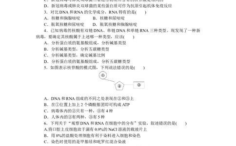 专练5　遗传信息的携带者&mdash;&mdash;核酸_通用版（老高考）复习资料_2023年复习资料_专项复习_2023《微专题&middot;小练习》&middot;生物