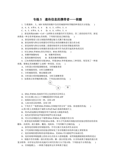 专练5　遗传信息的携带者&mdash;&mdash;核酸_通用版（老高考）复习资料_2023年复习资料_专项复习_2023《微专题&middot;小练习》&middot;生物