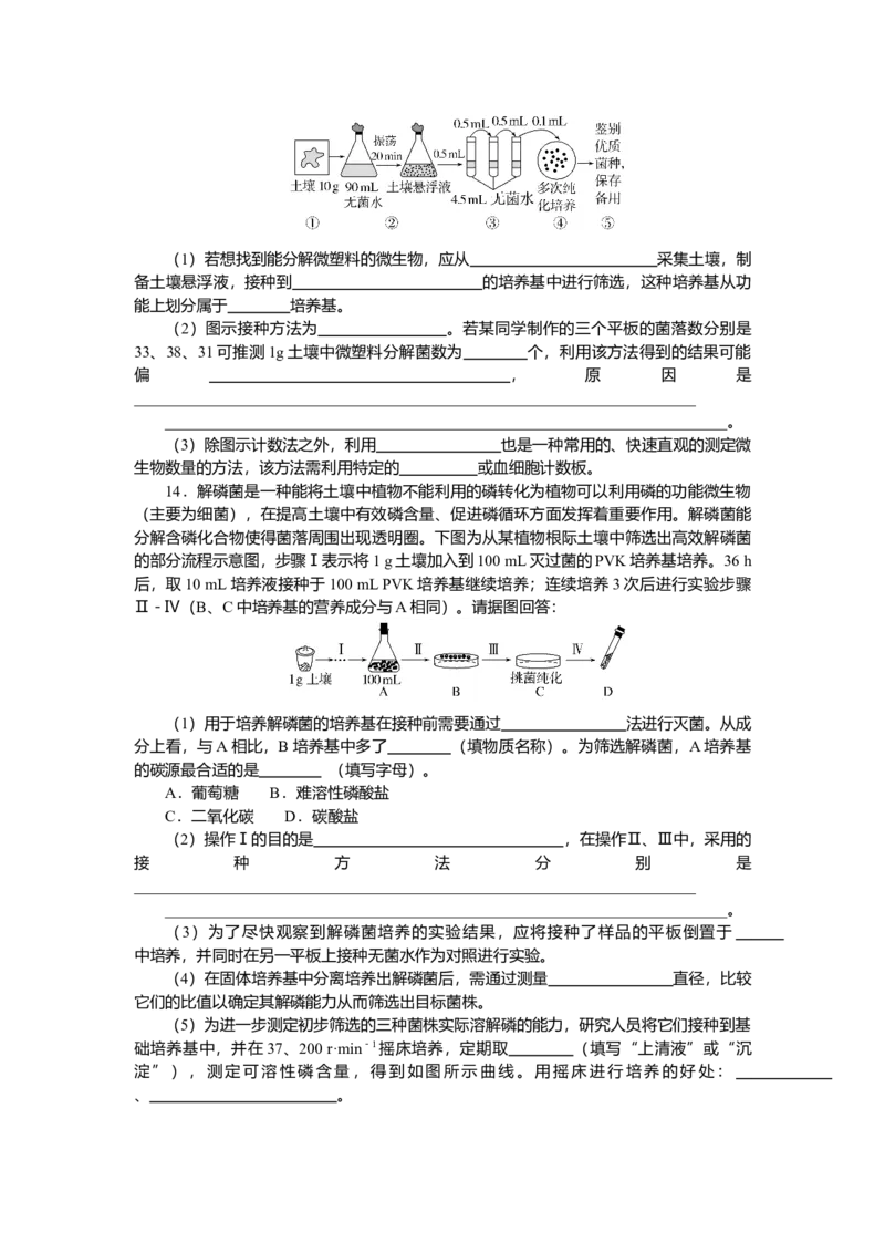 2025届高中生物学一轮复习检测案39　微生物的培养技术及应用（含解析）_2025年新高考资料_一轮复习_2025届高中生物学一轮复习分层复习检测(含解析)