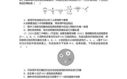 2025届高中生物学一轮复习检测案39　微生物的培养技术及应用（含解析）_2025年新高考资料_一轮复习_2025届高中生物学一轮复习分层复习检测(含解析)