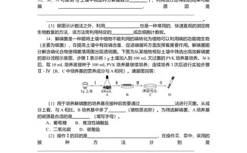 2025届高中生物学一轮复习检测案39　微生物的培养技术及应用（含解析）_2025年新高考资料_一轮复习_2025届高中生物学一轮复习分层复习检测(含解析)