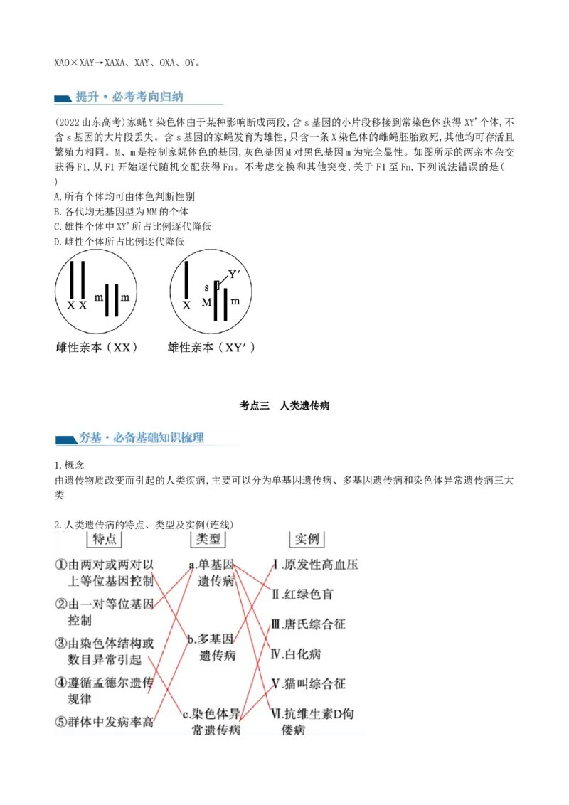 第18讲伴性遗传和人类遗传病（讲义）（学生版）_2024年新高考资料_1.2024一轮复习_2024年高考生物一轮复习讲练测（新教材新高考）