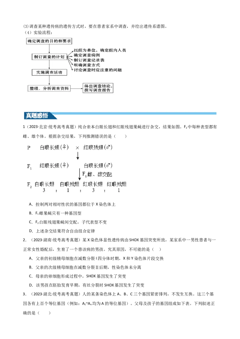 第18讲伴性遗传和人类遗传病（讲义）（学生版）_2024年新高考资料_1.2024一轮复习_2024年高考生物一轮复习讲练测（新教材新高考）