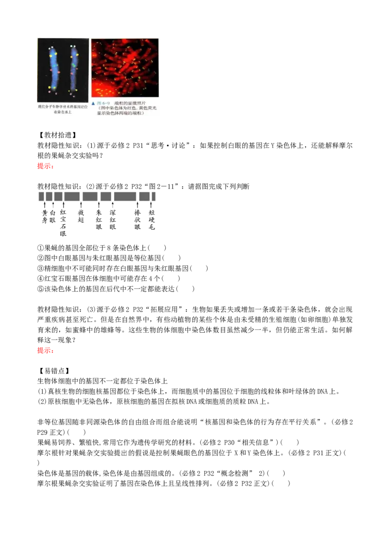 第18讲伴性遗传和人类遗传病（讲义）（学生版）_2024年新高考资料_1.2024一轮复习_2024年高考生物一轮复习讲练测（新教材新高考）