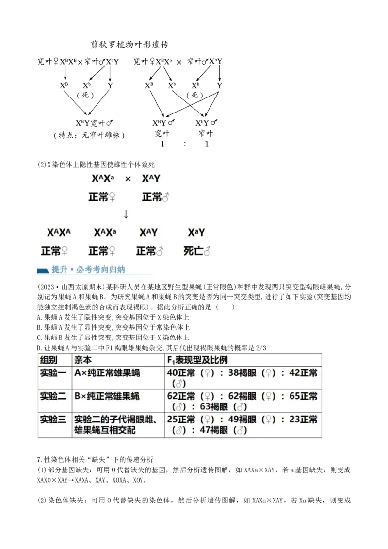 第18讲伴性遗传和人类遗传病（讲义）（学生版）_2024年新高考资料_1.2024一轮复习_2024年高考生物一轮复习讲练测（新教材新高考）