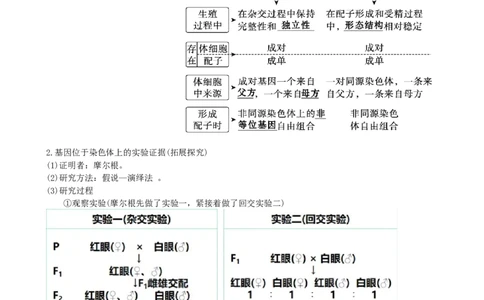 第18讲伴性遗传和人类遗传病（讲义）（学生版）_2024年新高考资料_1.2024一轮复习_2024年高考生物一轮复习讲练测（新教材新高考）