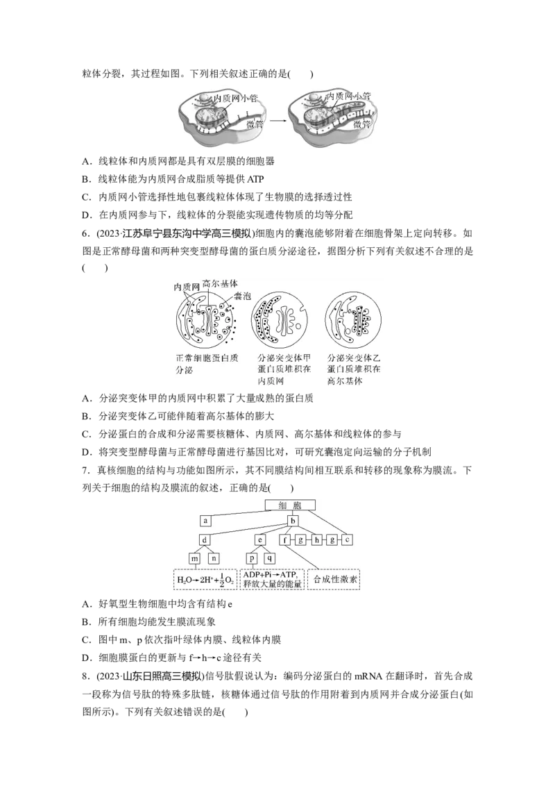 第2单元　课时练2　细胞器之间的分工合作_2024年新高考资料_1.2024一轮复习_2024年高考生物一轮复习讲义（新人教版）_学生版在此文件夹_一轮复习69练