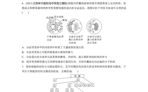 第2单元　课时练2　细胞器之间的分工合作_2024年新高考资料_1.2024一轮复习_2024年高考生物一轮复习讲义（新人教版）_学生版在此文件夹_一轮复习69练
