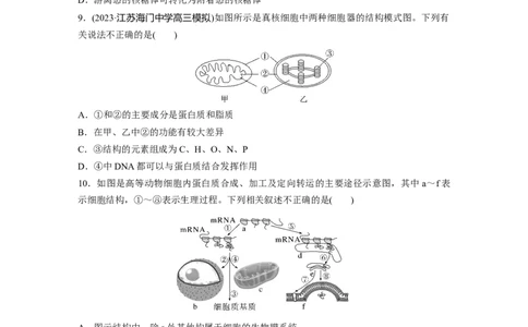 第2单元　课时练2　细胞器之间的分工合作_2024年新高考资料_1.2024一轮复习_2024年高考生物一轮复习讲义（新人教版）_学生版在此文件夹_一轮复习69练