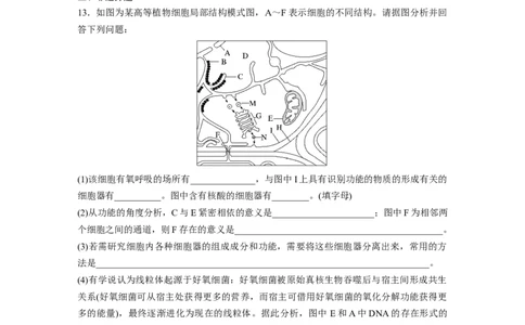 第2单元　课时练2　细胞器之间的分工合作_2024年新高考资料_1.2024一轮复习_2024年高考生物一轮复习讲义（新人教版）_学生版在此文件夹_一轮复习69练