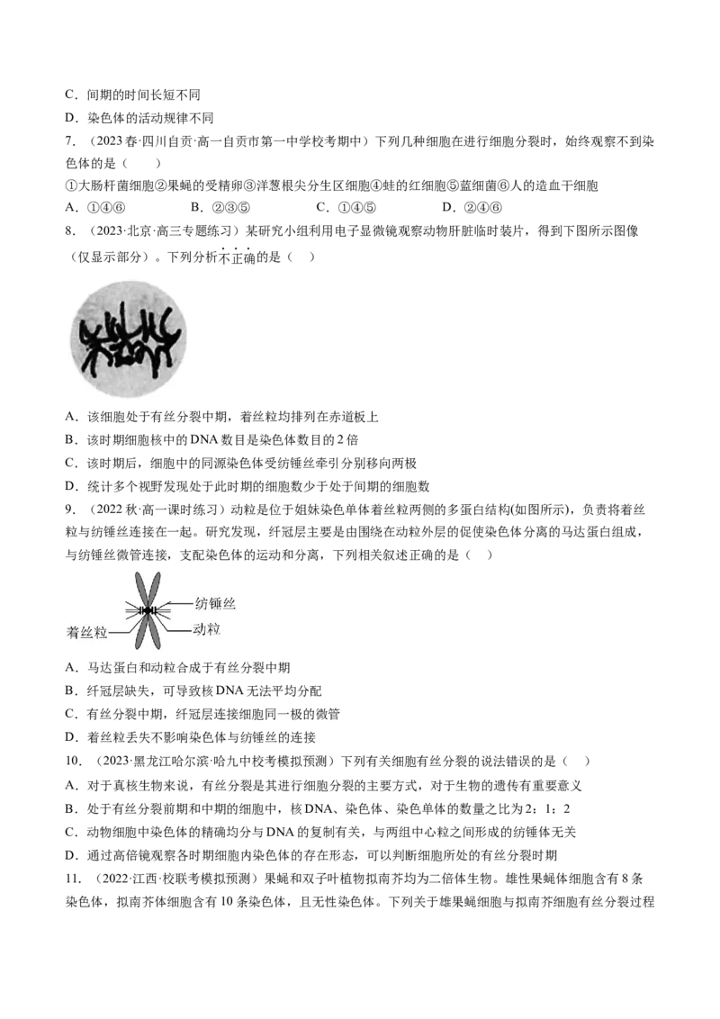 第12讲细胞的增殖（练习）（原卷版）_2024年新高考资料_1.2024一轮复习_2024年高考生物一轮复习讲练测（新教材新高考）