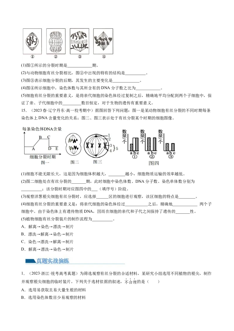 第12讲细胞的增殖（练习）（原卷版）_2024年新高考资料_1.2024一轮复习_2024年高考生物一轮复习讲练测（新教材新高考）