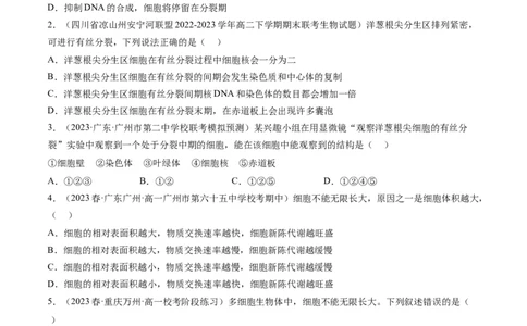 第12讲细胞的增殖（练习）（原卷版）_2024年新高考资料_1.2024一轮复习_2024年高考生物一轮复习讲练测（新教材新高考）