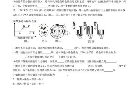 第12讲细胞的增殖（练习）（原卷版）_2024年新高考资料_1.2024一轮复习_2024年高考生物一轮复习讲练测（新教材新高考）