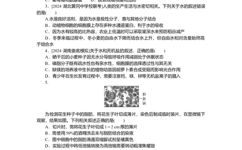 2025届高中生物学一轮复习检测案2　细胞的物质组成及有机物的鉴定（含解析）_2025年新高考资料_一轮复习_2025届高中生物学一轮复习分层复习检测(含解析)