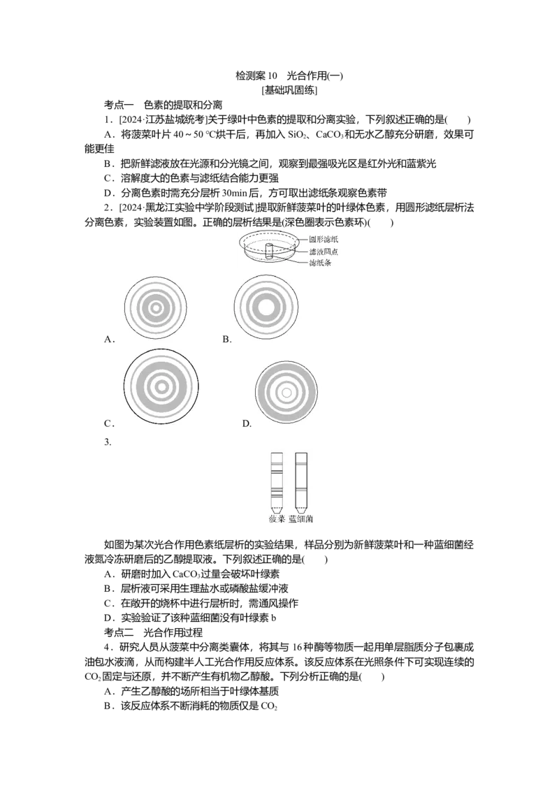 2025届高中生物学一轮复习检测案10　光合作用(一)（含解析）_2025年新高考资料_一轮复习_2025届高中生物学一轮复习分层复习检测(含解析)