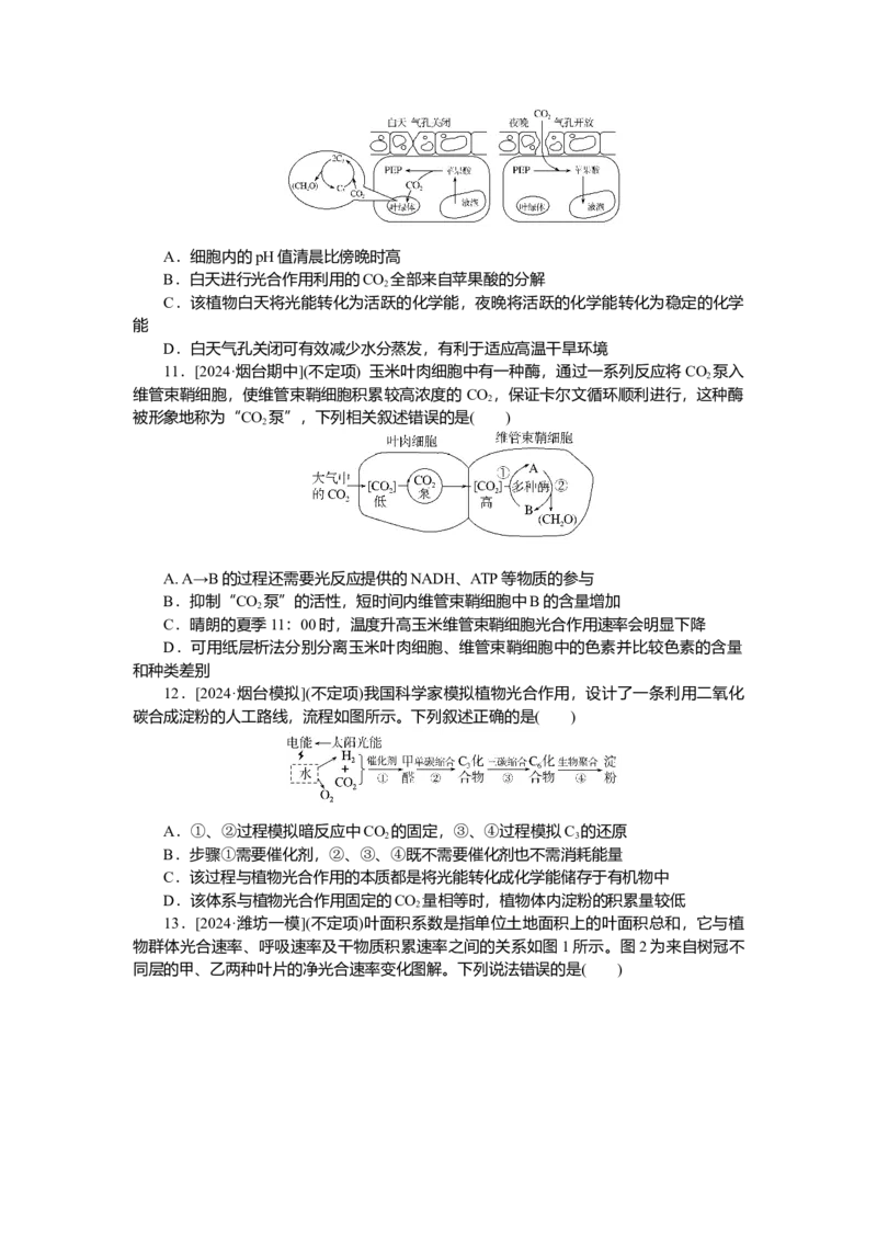 2025届高中生物学一轮复习检测案10　光合作用(一)（含解析）_2025年新高考资料_一轮复习_2025届高中生物学一轮复习分层复习检测(含解析)