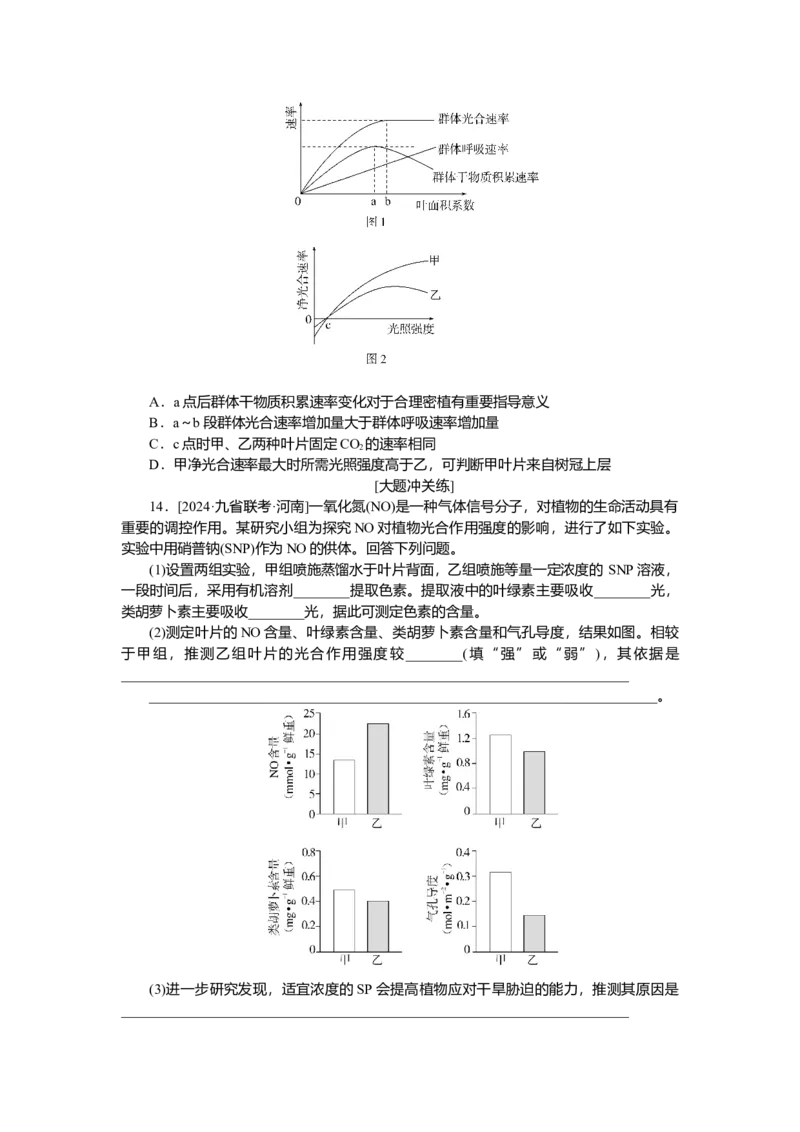 2025届高中生物学一轮复习检测案10　光合作用(一)（含解析）_2025年新高考资料_一轮复习_2025届高中生物学一轮复习分层复习检测(含解析)