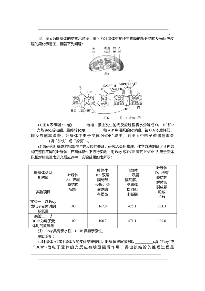 2025届高中生物学一轮复习检测案10　光合作用(一)（含解析）_2025年新高考资料_一轮复习_2025届高中生物学一轮复习分层复习检测(含解析)