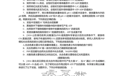 2025届高中生物学一轮复习检测案10　光合作用(一)（含解析）_2025年新高考资料_一轮复习_2025届高中生物学一轮复习分层复习检测(含解析)