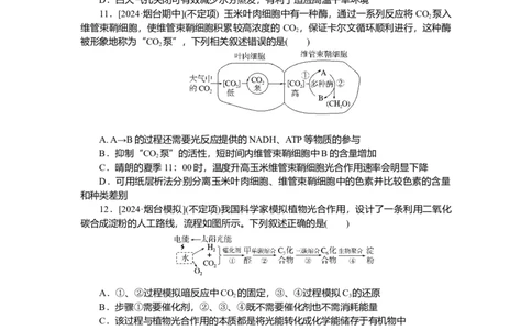 2025届高中生物学一轮复习检测案10　光合作用(一)（含解析）_2025年新高考资料_一轮复习_2025届高中生物学一轮复习分层复习检测(含解析)