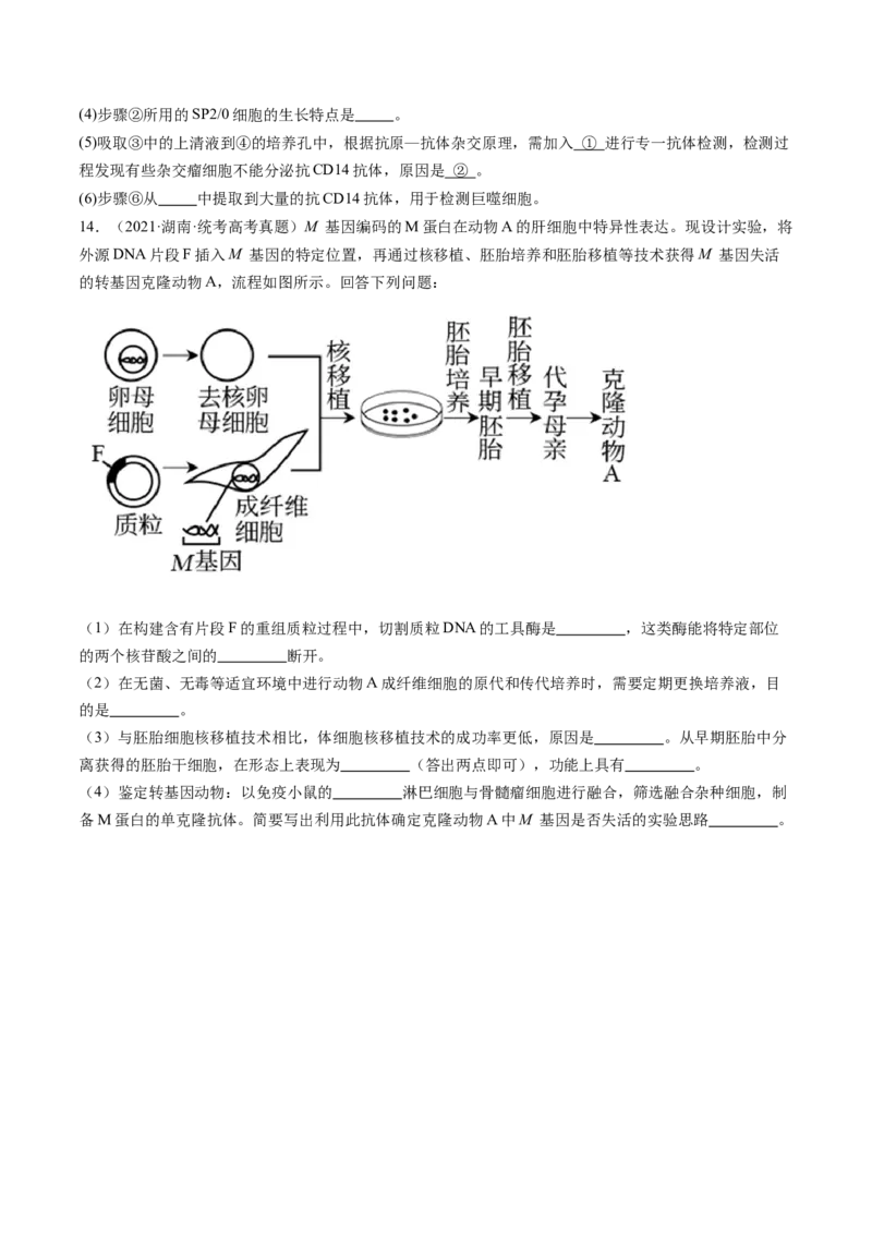 第41讲动物细胞工程（练习）（原卷版）_2024年新高考资料_1.2024一轮复习_2024年高考生物一轮复习讲练测（新教材新高考）