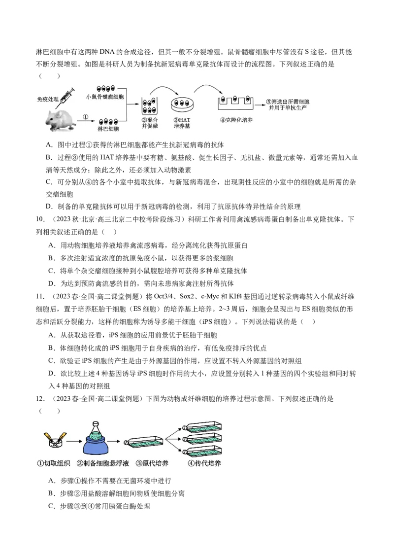 第41讲动物细胞工程（练习）（原卷版）_2024年新高考资料_1.2024一轮复习_2024年高考生物一轮复习讲练测（新教材新高考）