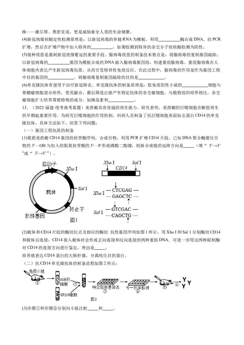 第41讲动物细胞工程（练习）（原卷版）_2024年新高考资料_1.2024一轮复习_2024年高考生物一轮复习讲练测（新教材新高考）