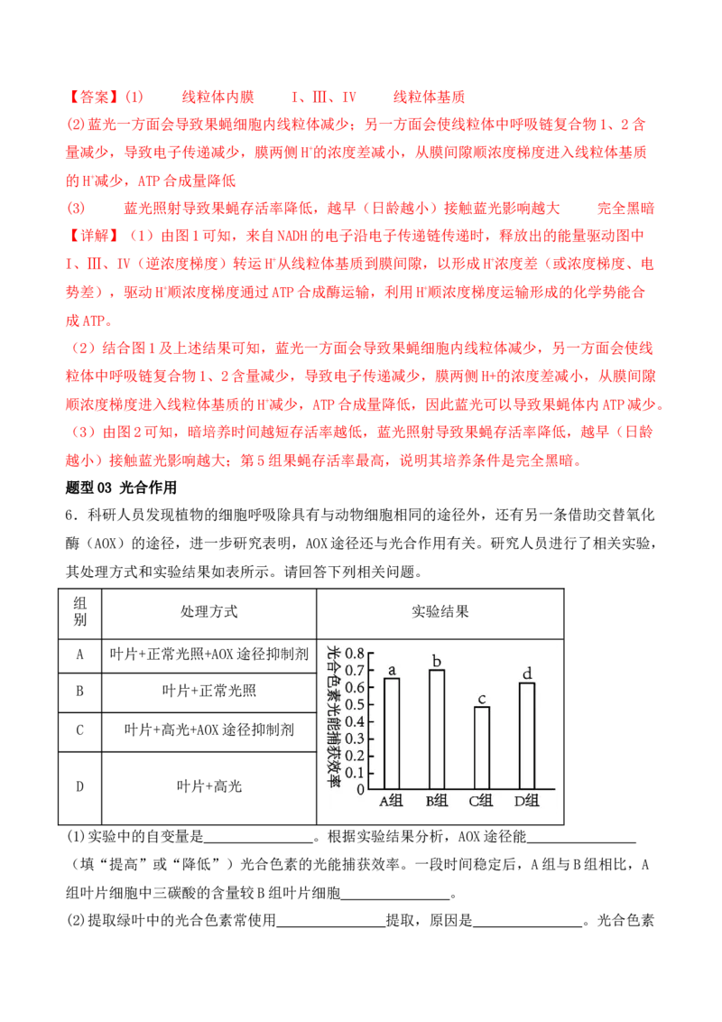 第19讲实验与探究（讲义）（解析版）_2024年新高考资料_2.2024二轮复习_2024年高考生物二轮复习讲练测（新教材新高考）