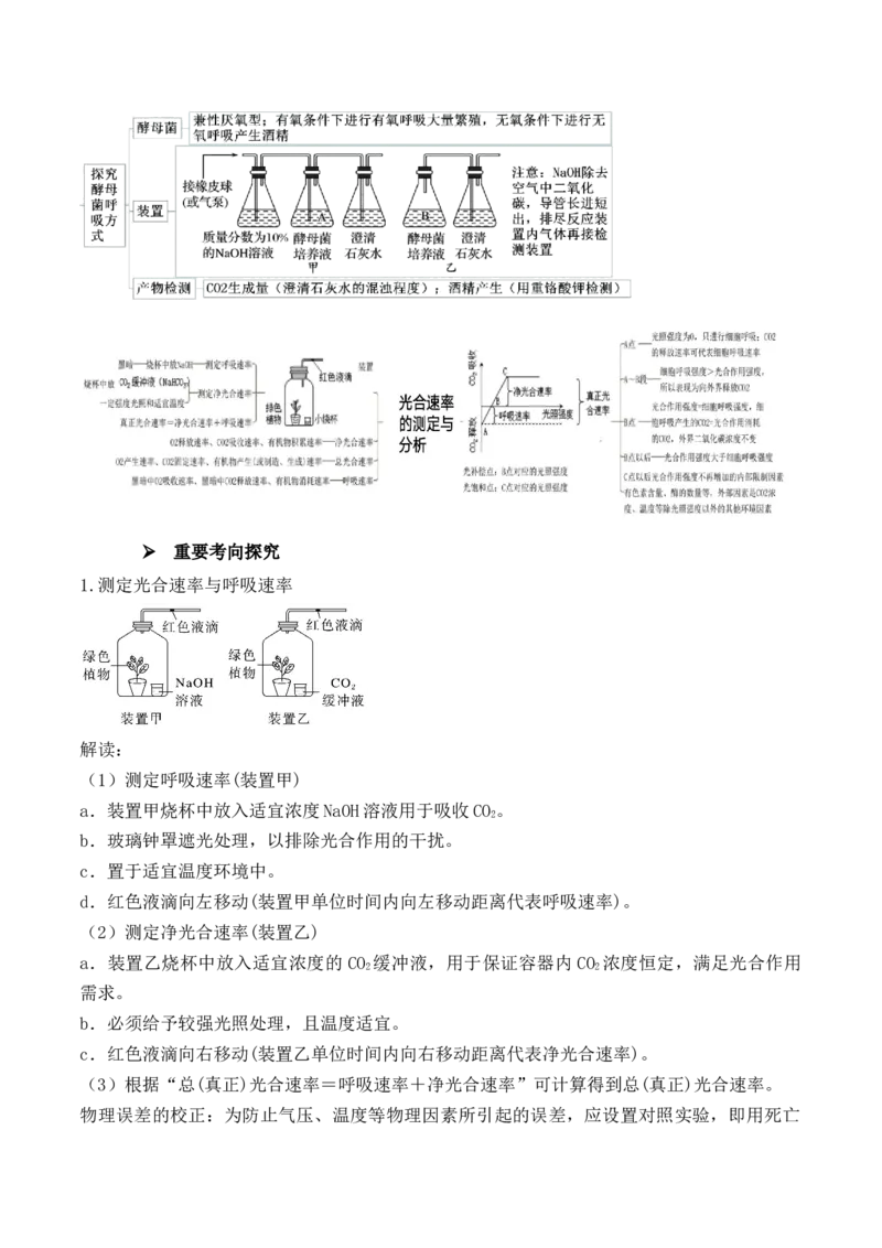 第19讲实验与探究（讲义）（解析版）_2024年新高考资料_2.2024二轮复习_2024年高考生物二轮复习讲练测（新教材新高考）