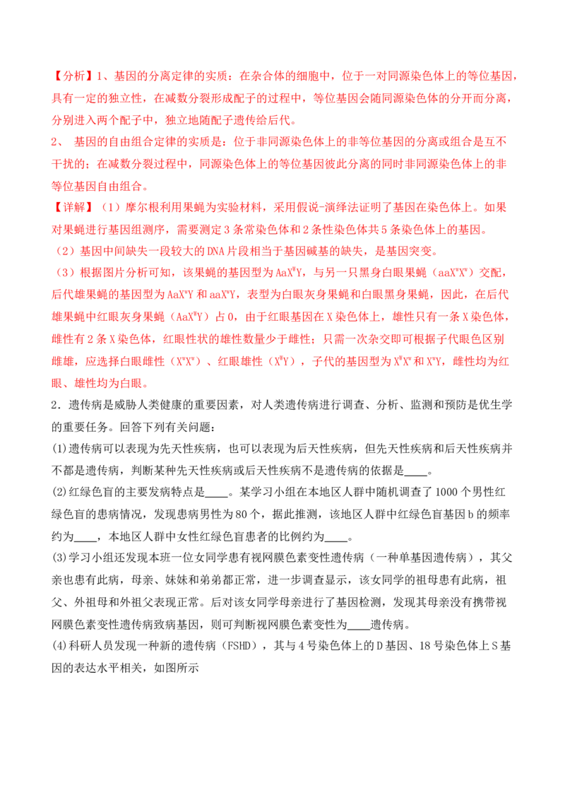 第19讲实验与探究（讲义）（解析版）_2024年新高考资料_2.2024二轮复习_2024年高考生物二轮复习讲练测（新教材新高考）