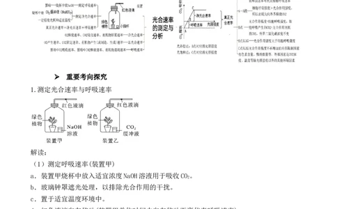 第19讲实验与探究（讲义）（解析版）_2024年新高考资料_2.2024二轮复习_2024年高考生物二轮复习讲练测（新教材新高考）