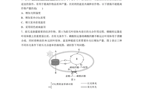 第3单元　微专题二　提高农作物产量_2024年新高考资料_1.2024一轮复习_2024年高考生物一轮复习讲义（新人教版）_学生版在此文件夹_大一轮复习讲义_第三单元　细胞的能量供应和利用