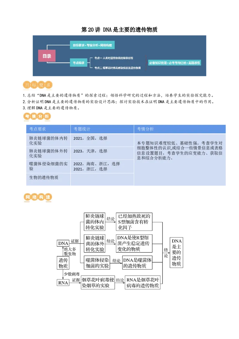 第20讲DNA是主要的遗传物质（讲义）（教师版）_2024年新高考资料_1.2024一轮复习_2024年高考生物一轮复习讲练测（新教材新高考）