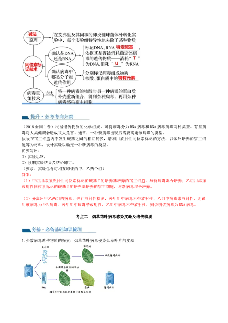 第20讲DNA是主要的遗传物质（讲义）（教师版）_2024年新高考资料_1.2024一轮复习_2024年高考生物一轮复习讲练测（新教材新高考）
