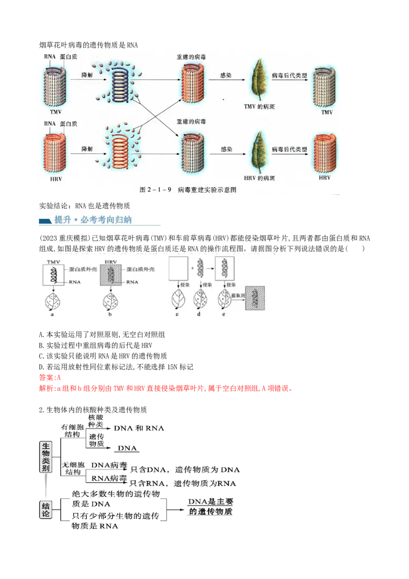 第20讲DNA是主要的遗传物质（讲义）（教师版）_2024年新高考资料_1.2024一轮复习_2024年高考生物一轮复习讲练测（新教材新高考）