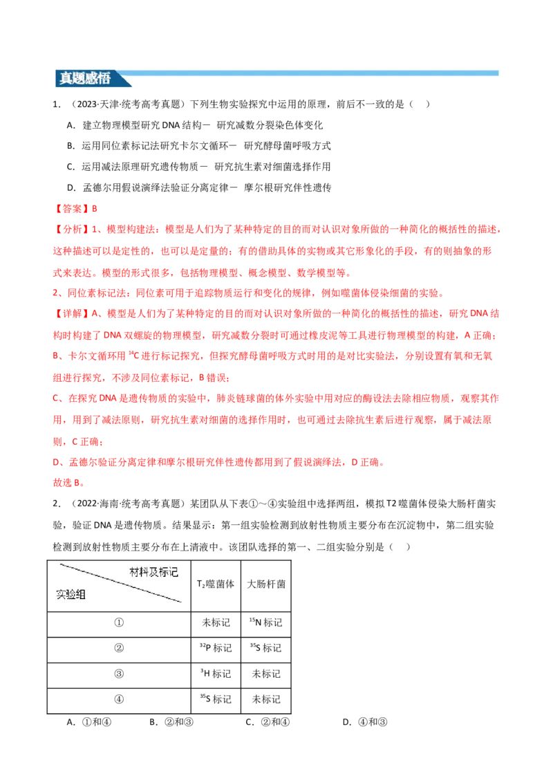 第20讲DNA是主要的遗传物质（讲义）（教师版）_2024年新高考资料_1.2024一轮复习_2024年高考生物一轮复习讲练测（新教材新高考）