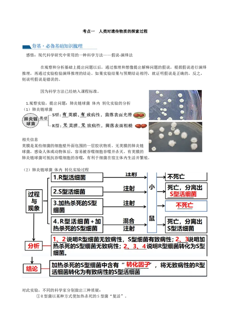 第20讲DNA是主要的遗传物质（讲义）（教师版）_2024年新高考资料_1.2024一轮复习_2024年高考生物一轮复习讲练测（新教材新高考）