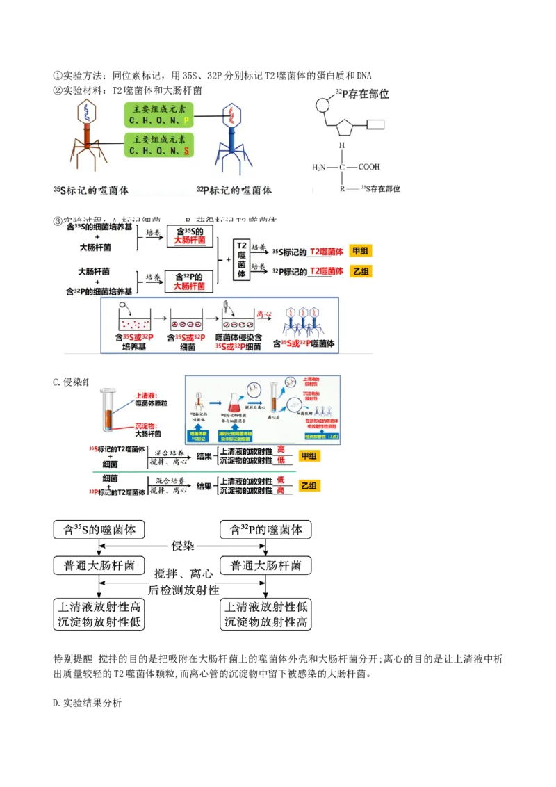 第20讲DNA是主要的遗传物质（讲义）（教师版）_2024年新高考资料_1.2024一轮复习_2024年高考生物一轮复习讲练测（新教材新高考）