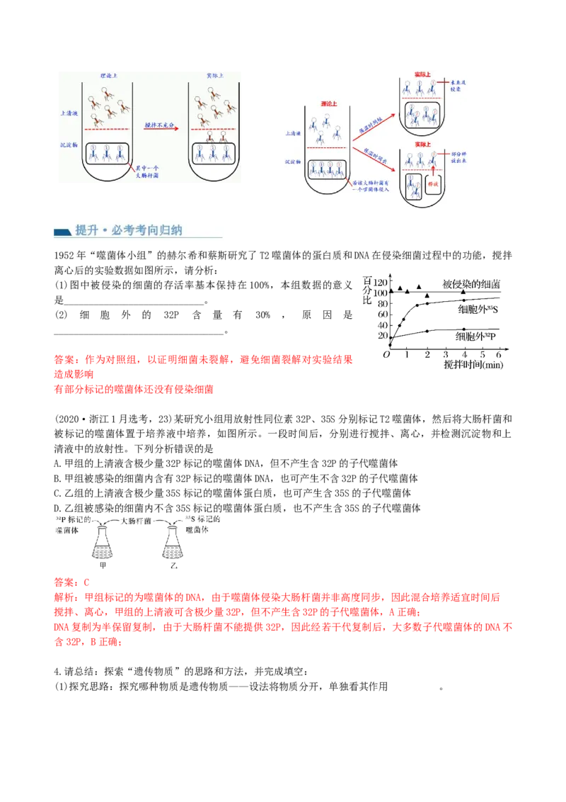 第20讲DNA是主要的遗传物质（讲义）（教师版）_2024年新高考资料_1.2024一轮复习_2024年高考生物一轮复习讲练测（新教材新高考）