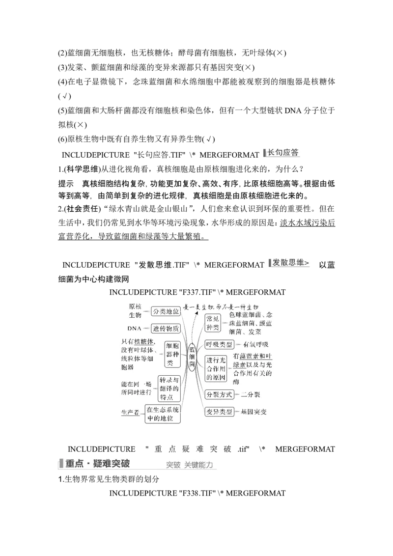 第1讲借助显微镜走近细胞_2024年新高考资料_1.2024一轮复习_2024年高考生物一轮复习讲义（新人教版）_另附1套Word版题库_必修1_第一单元组成细胞的分子